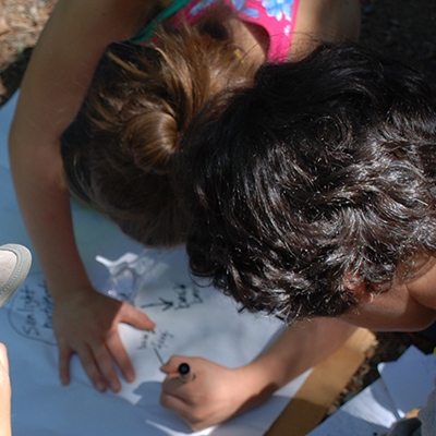 Two students are writing during a science activity