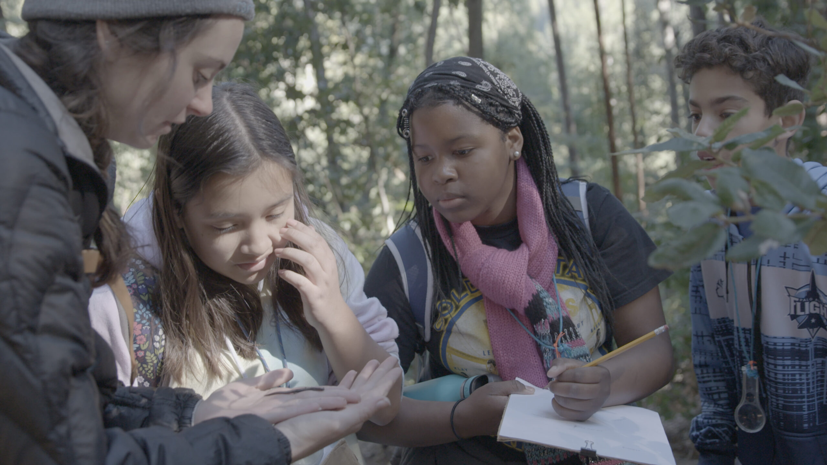 Three students and a teacher are observing a salamander