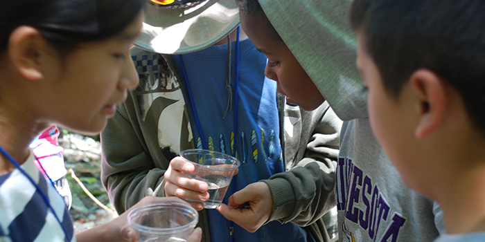 Students are examining water in an outdoor science activity